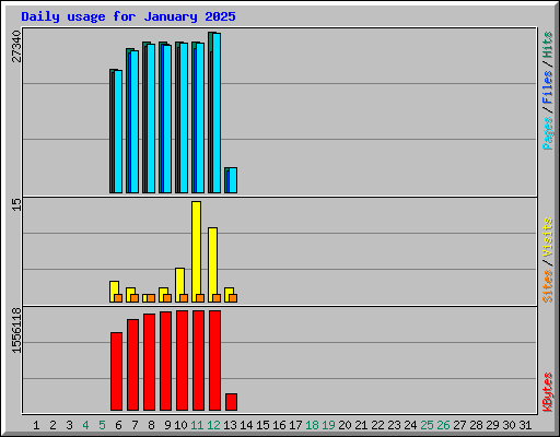 Daily usage for January 2025