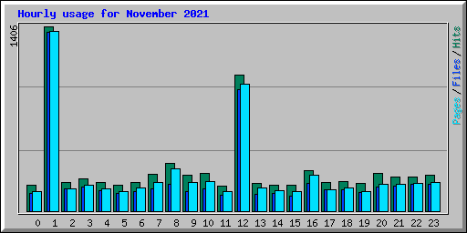 Hourly usage for November 2021