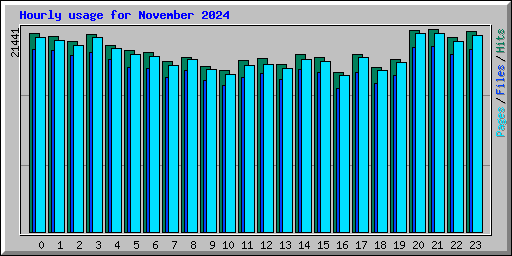 Hourly usage for November 2024