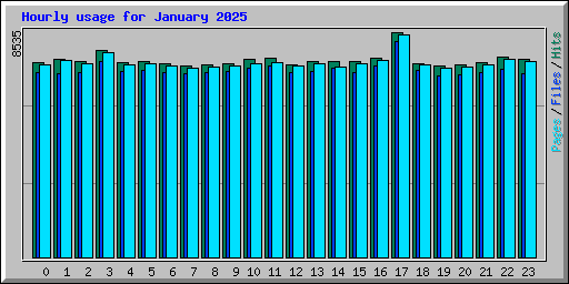 Hourly usage for January 2025