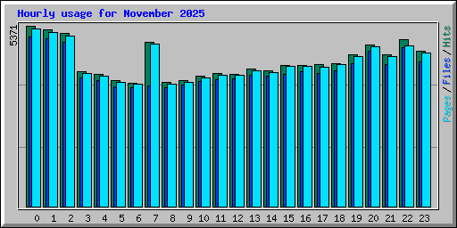 Hourly usage for November 2025