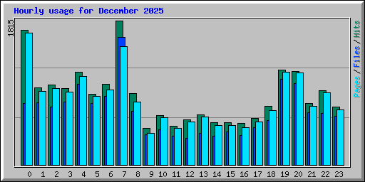 Hourly usage for December 2025